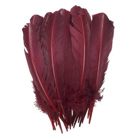 24Pcs Burgundy Turkey Feathers 10~12 Inches,Bulk Long Feather 26-31CM,Big Size Bilateral Natural Feather for Crafts,for Wedding Dress and Party Decoration,DIY Fabricating Handicraft Article (Burgundy)