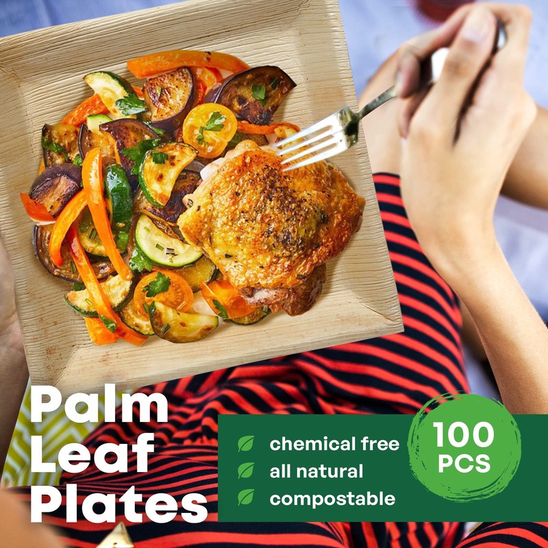 DISPOSABLE GREEN - Square Disposable Plates, Areca Leaf Serving Plates,