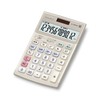 Casio JS-20WKA-GD-N Professional Business Calculator, 12-Digit Readout, Check Your Work
