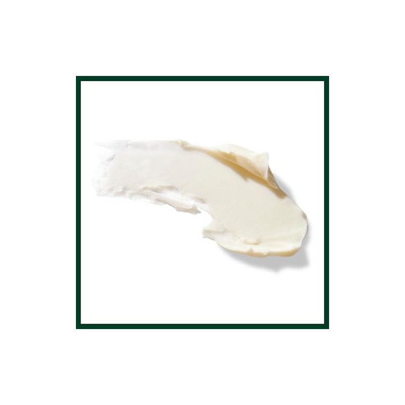 Aveda Men Pure-Formance Grooming Clay | Strong Hold | Matte