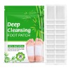 Parches Detox Pies + Limpieza Natural Noche | Kit 60