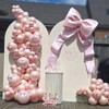 JZCZOEB 181Pcs Coquette Pink Bow Balloons Arch Garland Kit with
