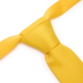 Ladeheid TKM Children's Tie for Boys - Elegant Matte Look, Pre-Tied with a Velcro Fastening, Perfect for Special Occasions - Stylish Lapel Tie Size 31 cm x 4 cm, honey