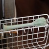 ezpz - cepillo para polvo para botellas (salvia), herramienta de