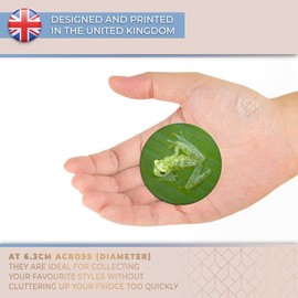 Destination Vinyl ltd Magnet for Refrigerator, Fridge - Glass Frog Jungle Frogs Green for Office, Cabinet and Whiteboard, Magnetic Stickers, 3302