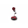 Iron Forge Eternal "Beauty and the Beast" Rose (Red/Black)
