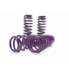 D2 PRO Lowering Springs 2.0”F/1.8”R Accord 2008-2012