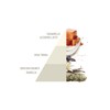 Profuma Bucato Bianco Latte 50ml