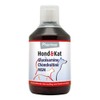 Hond & Kat Glucosamine Chondroitine & msm 500 ml