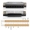 Eastar Major Blues Diatonic Harmonica 10 Holes C Key Beginners