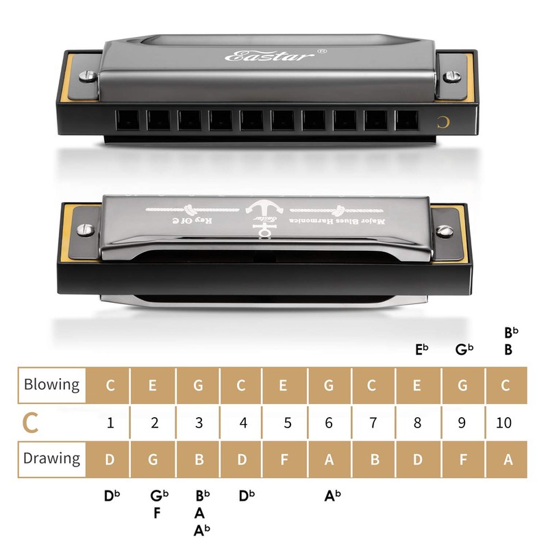 Eastar Major Blues Diatonic Harmonica 10 Holes C Key Beginners