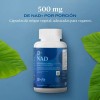 B-fit Nad 500mg 90 Cápsulas Suplemento Anti Aging