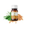 El hawag Fenugreek Oil 100% Natural, Cold-Pressed for Hair Growth,