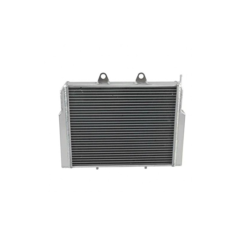 RadBuild 2 Row Aluminum Radiator Fit 2007-2017 Polaris RZR570 RZR800