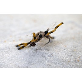 Flexo Crab Fly - Perfect for Permit, Bonefish & Redfish Choose from Tan, Olive or Assorted (3ct Sand #6 Hook)