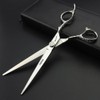 Professional Hair Dressing 6/7 Inch Straight Cutting Scissors (7 Inch