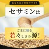 味の素 Daily Plus セサミン 60粒入袋 サプリメント