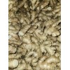 Roots Raw Whole Ginger Roots - 5Lb