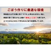 Roasted Burdock Tea Produced in Aomori Prefecture with Leather 100%
