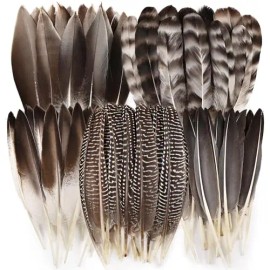300 Pcs Small Feathers 10 Style Mixed Spotted Decorative Natual Pheasant Feather for DIY Crafts Clothing Jewelry Hair DecorationColor: Natural Gray-1
