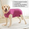 Cyponpy Dog Body After Surgery Medical Bodysuit for Dogs Castration
