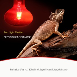 WUHOSTAM 75W Infrared Reptile Heat Lamp Bulb, UVA Basking Spot Red Light Glass Heat Bulbs for Reptiles and Amphibian Use, Bearded Dragon, Turtle, Gecko, Snake, Lizard, Chameleon - 2 Pack