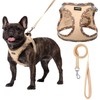 AMTOR Small Dog Harness with Leash Set, No Escape Easy