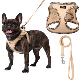 AMTOR Small Dog Harness with Leash Set, No Escape Easy Walk Puppy Harnesses for Training Walking, Step-in Reflective Soft Dogs Vest for XS S Medium Extra-Small Large Sized Dog(Beige,XXS)