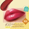 RIMMEL Lasting Finish Oil Tint Trip 103 Chocolat Brown, 1.3