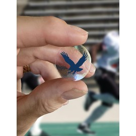 Flying Eagle Award Decals for Football Helmets, Baseball, Softball, Hockey Lacrosse Thick Premium 20 mil Vinyl 1-1/8" Diameter (100 Decals) (Navy Blue on Clear)