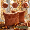 Benjia Autumn 20x20 Cushion Covers Set of 2, Fall Pumpkin