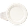 greensight Rigid Disposable Paper White Plates 100 Pack 7 inch