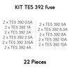 Set of 22 x 11 Values TE5 392 Fuses for