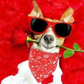 Valentine's Day Dog Bandanas, LMSHOWOWO 2 Pack Double Layer Reversible Triangle Valentines Day Dog Bandana, Love Valentine's Day Dog Scarf Pet Bandana for Small Dogs Pets（Small, Valentine's Day）