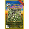 Everwilde Farms - 1 Oz Thai Basil Herb Seeds -