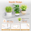 Lifewit 15" Acrylic Window Plant Shelves, 2-Pack Suction Cup Shelf