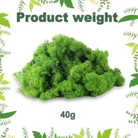 Ryvera 100 g Artificial Moss for Crafts, Artificial Moss Decoration, Artificial Moss for Decorating, Iceland Moss Preserved Decorative Moss, Moss Wall Decoration, Art Moss Decorative Moss Craft Moss