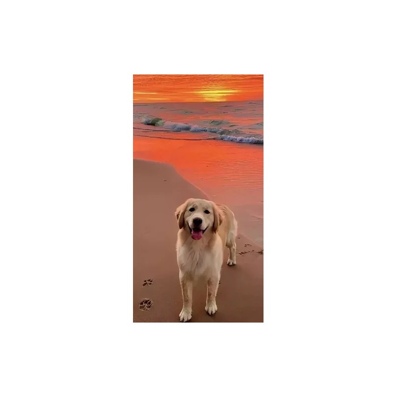Vetriderm Jabón Dermatológico, Elanco, Para Perros (100gr)