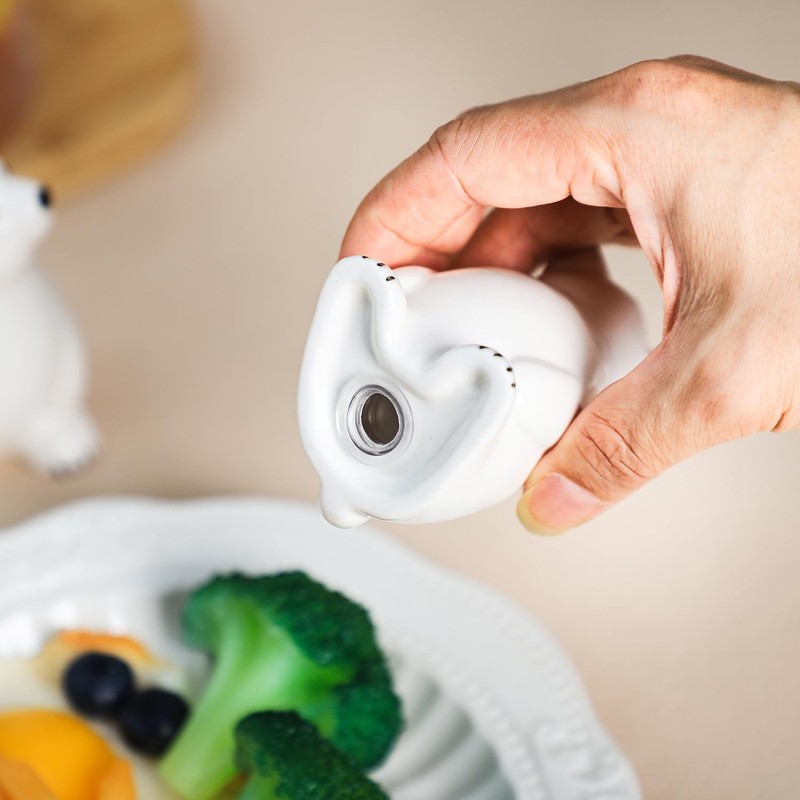 Bicuzat Ceramic Polar Bears Pattern Salt & Pepper Shakers Set,