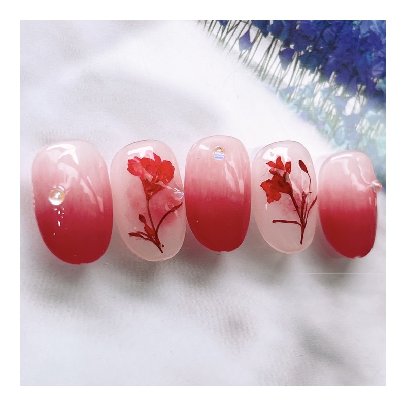 Moulin Rouge°❀ - Stelletto / 물랑루즈°❀ - 스텔레토