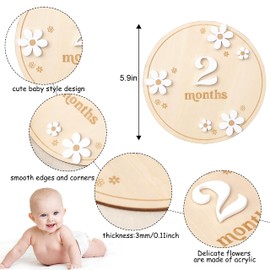 Wooden Boho Daisy Flower Milestone Cards - 1-12 Months Interchangeable Milestone Card Decor,Baby Party Photo Prop，Full Moon Background Decoration Props. (2-12 Months Daisy Flower Milestone Cards)