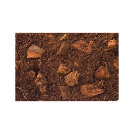 T-Rex Reptile Terrarium Substrate - Jungle Bed 8qt Bag