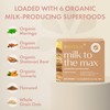 Boobie Bar Superfood for Lactation and Breastfeeding 1.7 Ounce Bars