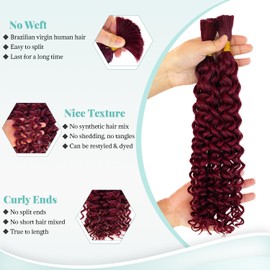 Human Braiding Hair for Boho Braids 99J Burgundy Curly Water Wave Bulk Human Hair for Braiding Wet and Wavy Braiding Hair Colored 2 Bundles/Pack 100g 14 Inch No Weft Hair Extensions for Boho Braids