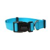 Doodlebone Dog Collar, Aqua, 6-11