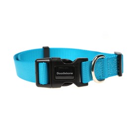 Doodlebone Dog Collar, Aqua, 6-11