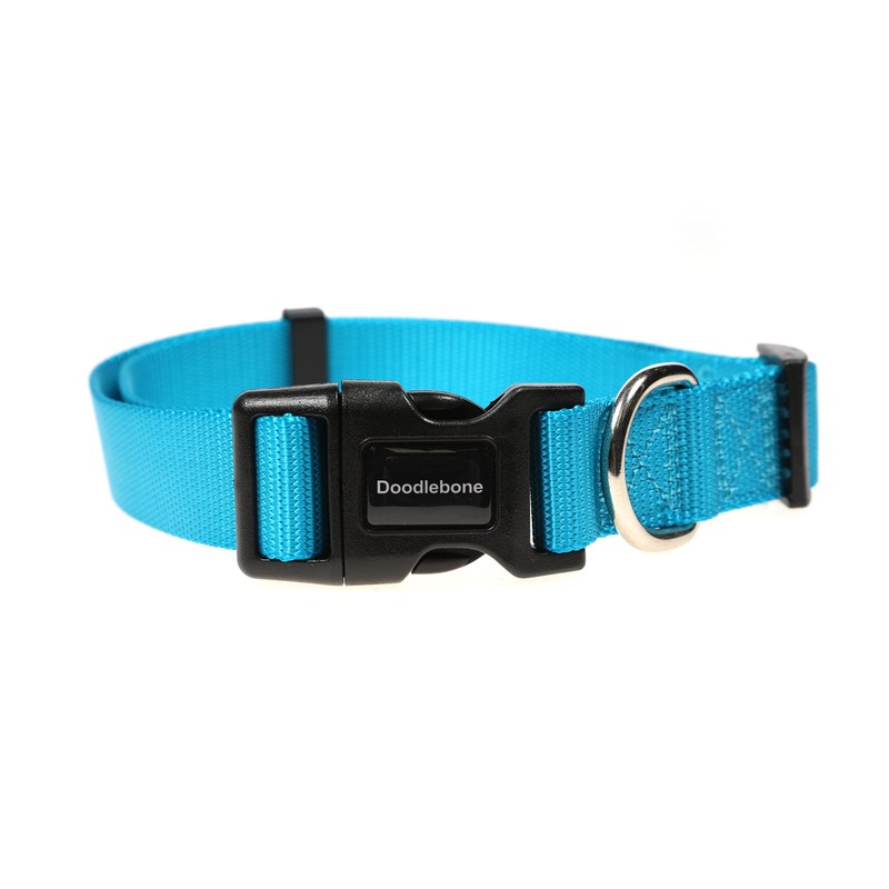Doodlebone Dog Collar, Aqua, 6-11