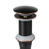 Oil Rubbed Bronze Detachable Basket Pop Up Sink Drain, Vanity