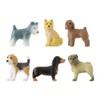 Midori 43426006 Mini Magnets, Pack of 6, Dog Pattern