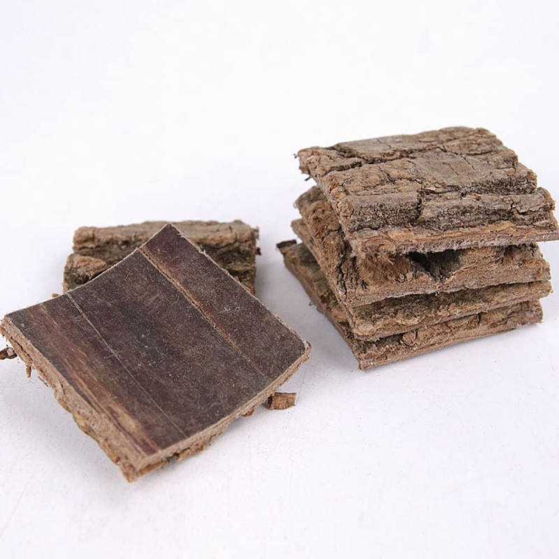 Eucommia Ulmoides;Cortex Eucommiae;Natural Eucommiae Cortex;Du Zhong;Bark of Eucommia Ulmoide;Wild Du